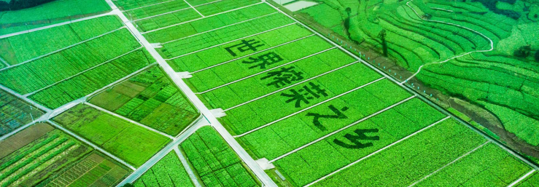 金沙娱场城app7979与涪陵榨菜集团签署合作协议，为“百亿乌江”谋划未来市场